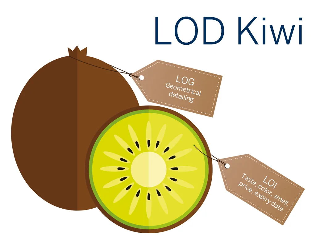 Illustration of a kiwi and kiwi slice with tags describing geometrical detailing and taste, color, smell, and expiry date.
