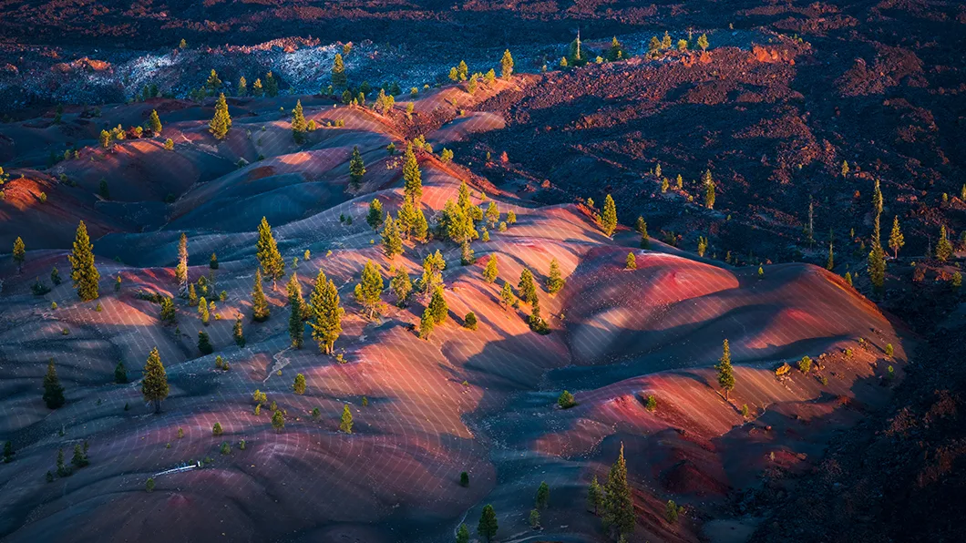Sunrise volcanic terrain with red/black ash, sparse pines, and subtle grid patterns, suggesting topographic mapping or erosion control.