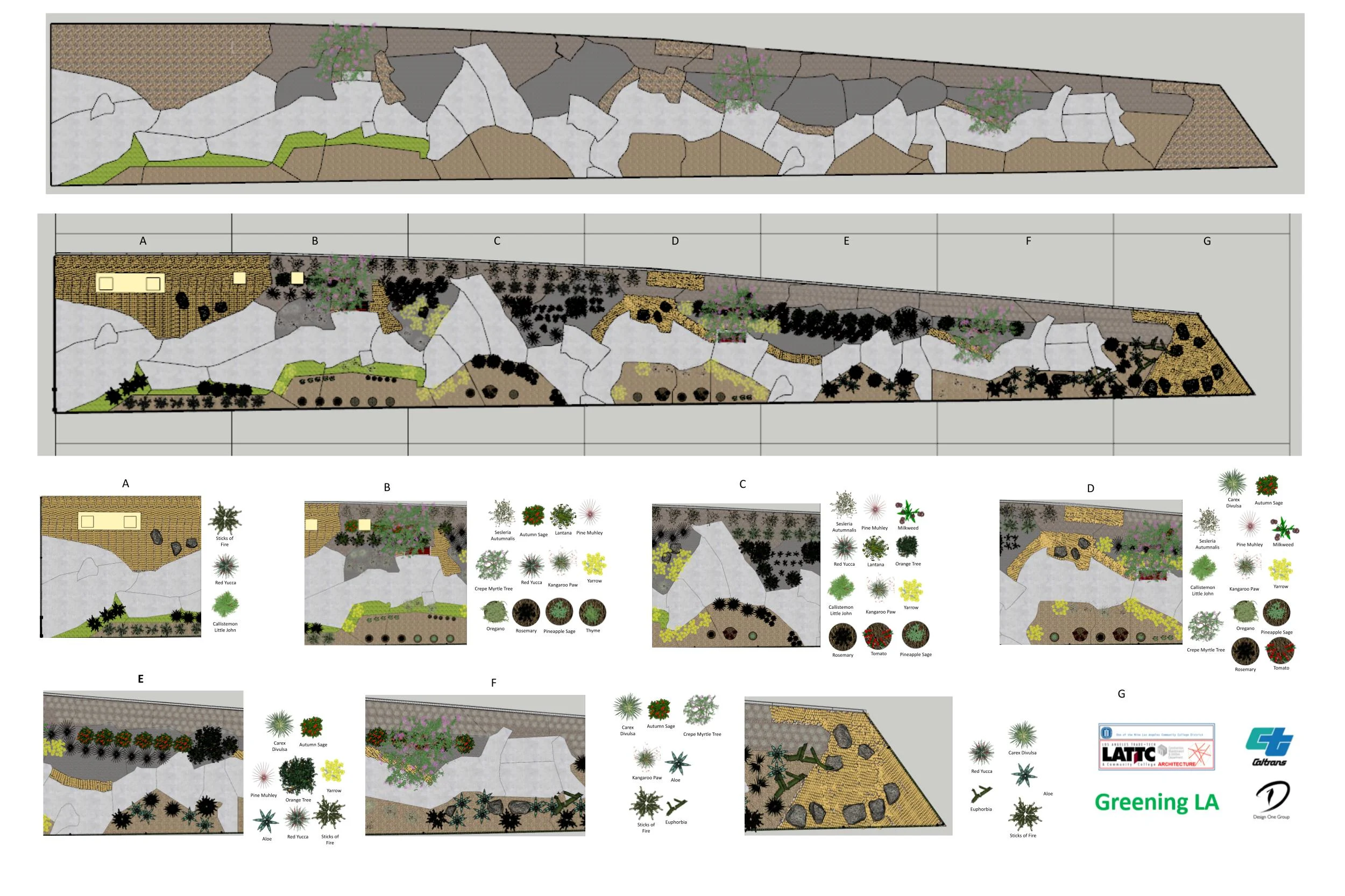 The Greening LA pathway takes inspiration from nature’s geometric patterns. 