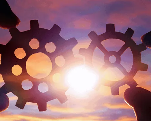 Interoperability between software will be crucial as your business expands. 