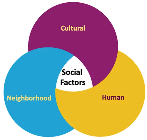 Venn diagram illustrating social factors, including Cultural, Neighborhood, and Human elements.
