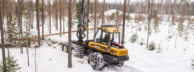 A yellow forestry harvester felling a tree in a dense, snow-covered pine forest.