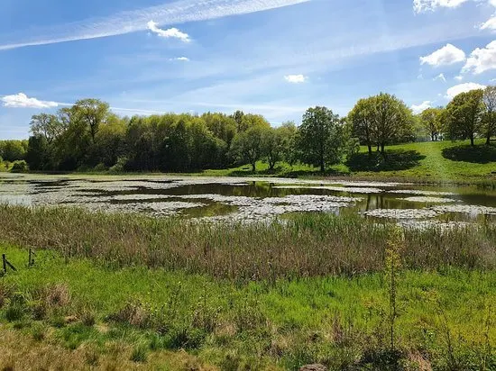 Réserve naturelle de Kungsmarken
