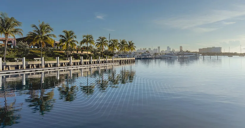 A serene waterfront view in Florida featuring a row of palm trees, a calm bay with boat docks, and a city skyline in the distant horizon.