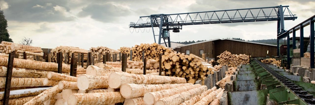 Large piles of stacked timber logs at a lumber yard with an industrial gantry crane in the background.