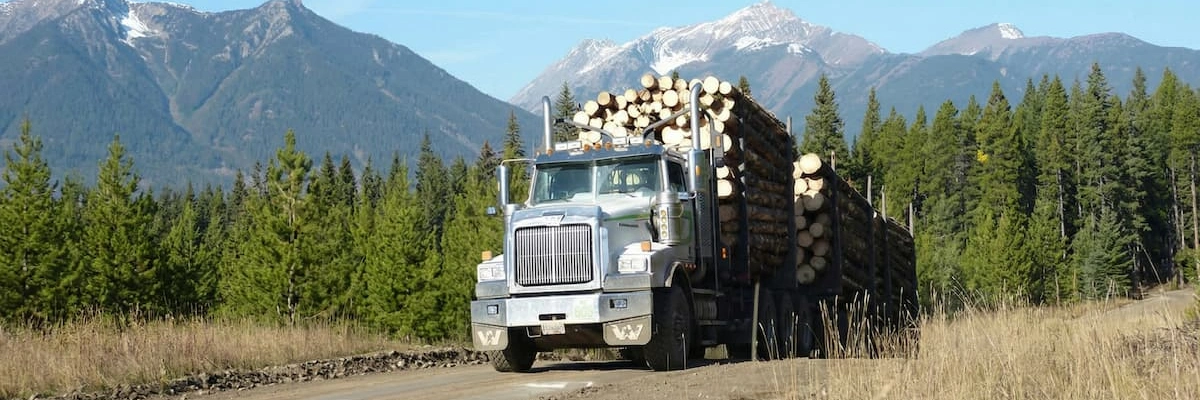 A silver logging truck carrying a heavy load of timber on a dirt road with mountains in the background.
