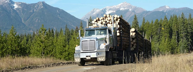 A silver logging truck carrying a heavy load of timber on a dirt road with mountains in the background.