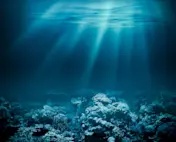 Surveying the depths: the impact of real-time GNSS data