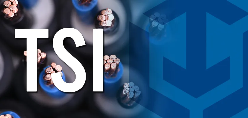 Close-up of bundled copper wires with the letters TSI and a blue geometric logo.