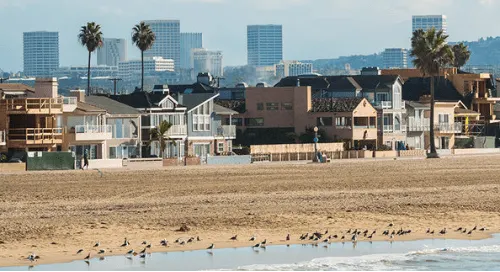 Beachfront homes with palm trees and city skyscrapers in the background.