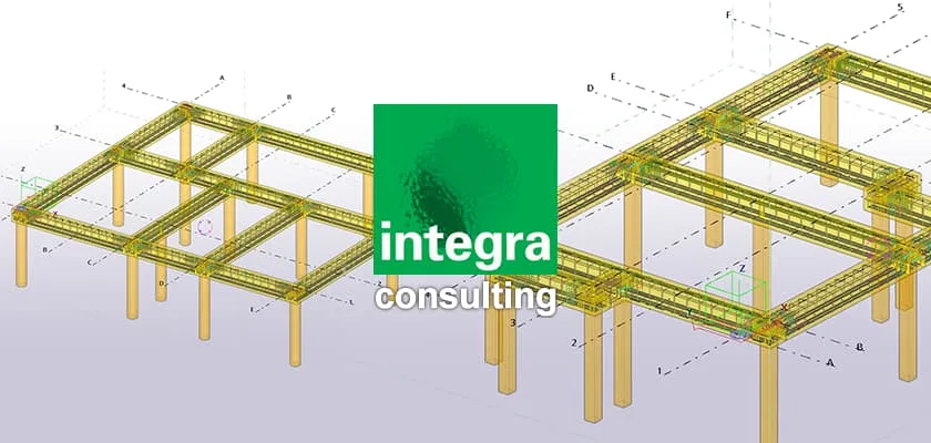 Integra Consulting works quickly and efficiently, with enhanced visualization and data accuracy