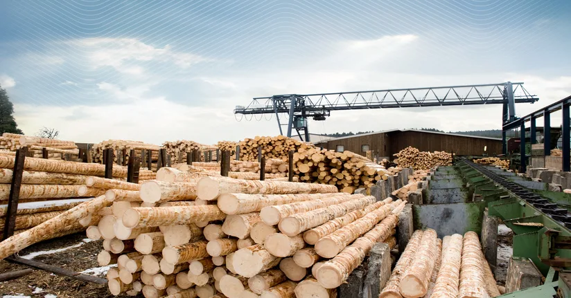 Large industrial lumber yard with rows of stacked logs leading toward a crane and factory buildings under a cloudy sky.