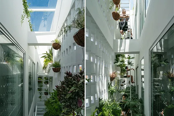 The indoor garden at the back of the house offers top lighting to bring natural light and promote air ventilation in the hous
