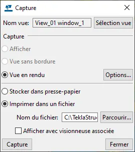 Screenshot of a Capture dialog box in software, showing options for view name, capture type, and file saving.
