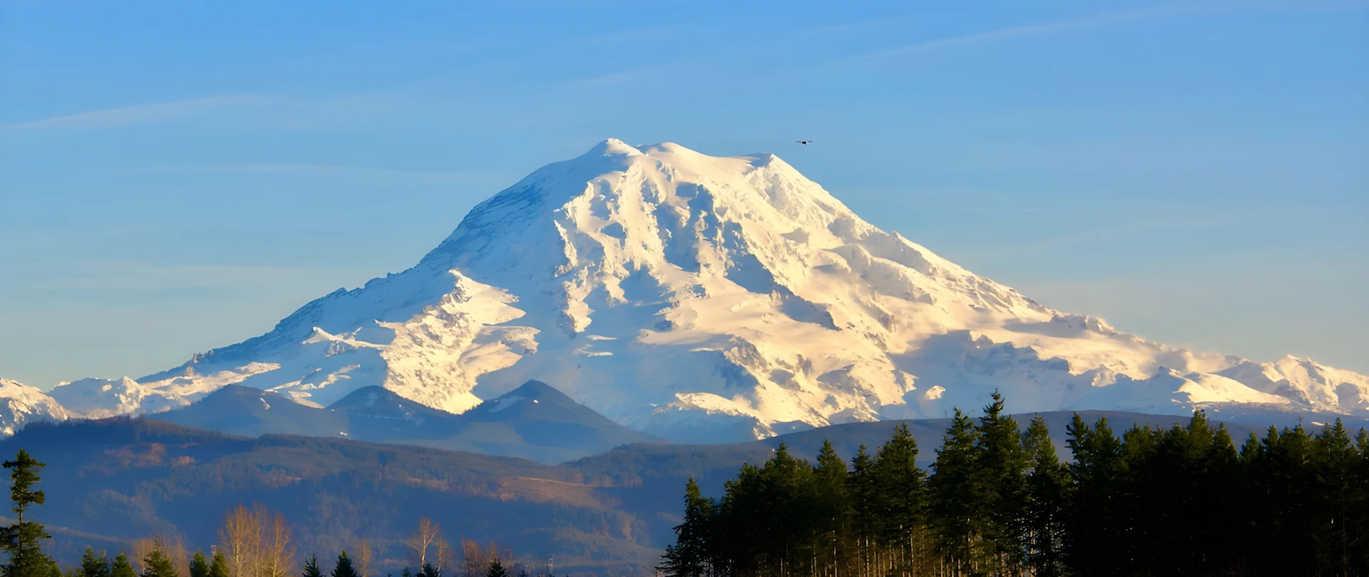Snow-capped Mount Rainier dominates the horizon under a clear blue sky, with layered mountain ridges in the background. In the foreground, evergreen trees create a dark silhouette, while a blue fence runs along the bottom of the frame.