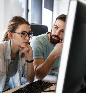 Enterprise Software Integration
