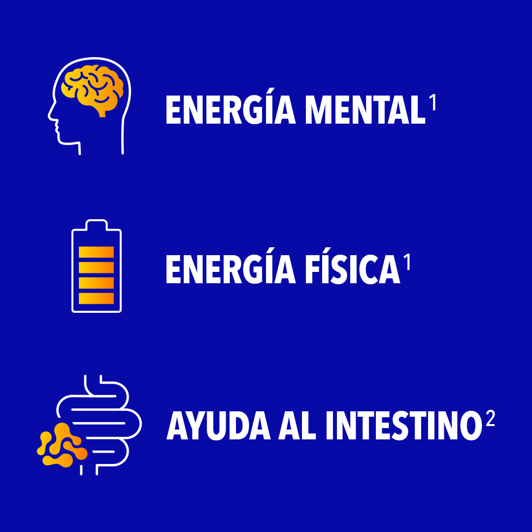 ENERGÍA MENTAL1 ENERGÍA FÍSICA1 AYUDA AL INTESTINO2