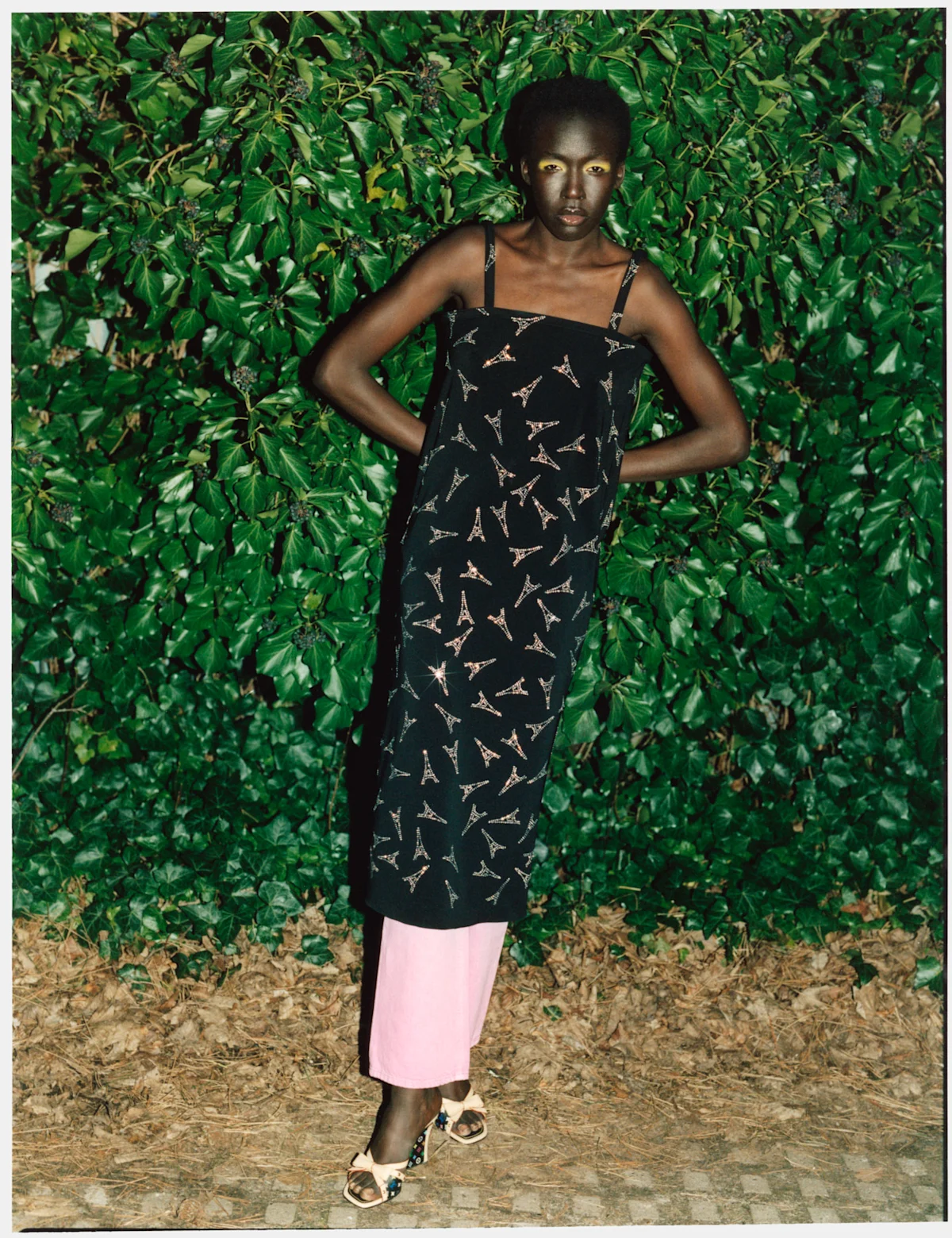 ZOO74 Awut 15 LR sRGB 1800px