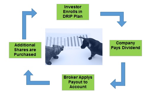 Dividend reinvestment (DRIP)