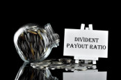 Dividend Payout Ratio