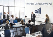 Business Development Meeting