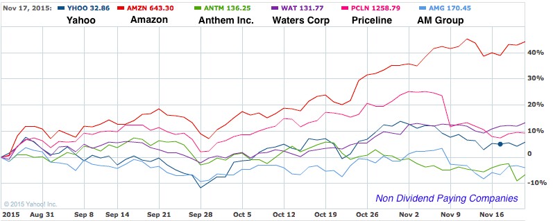 Non-Dividend Paying Stocks