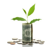 Tree growing out of money rool