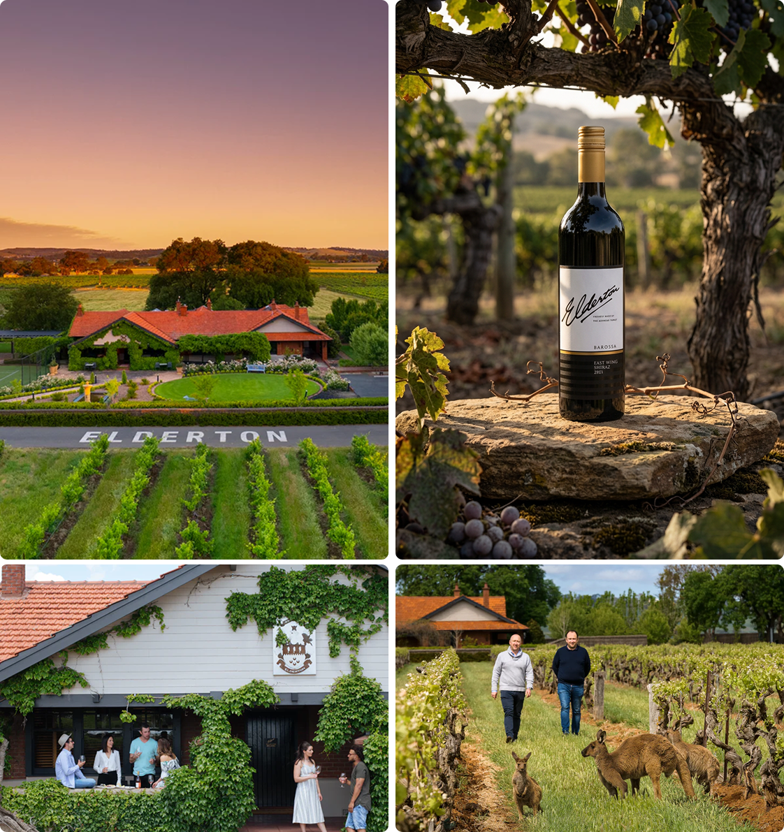 Vineyard Partners - elderton - Intro section grid image