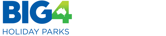 BIG4 - logo