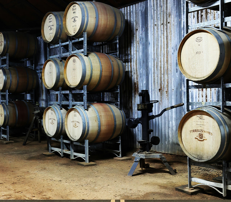 barrels of wine at Tyrrells winery in the hunter valley