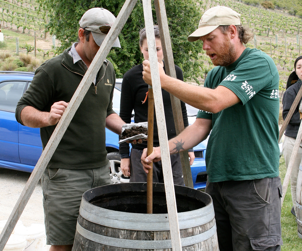Blog - Organic Wines - biodynamic - image