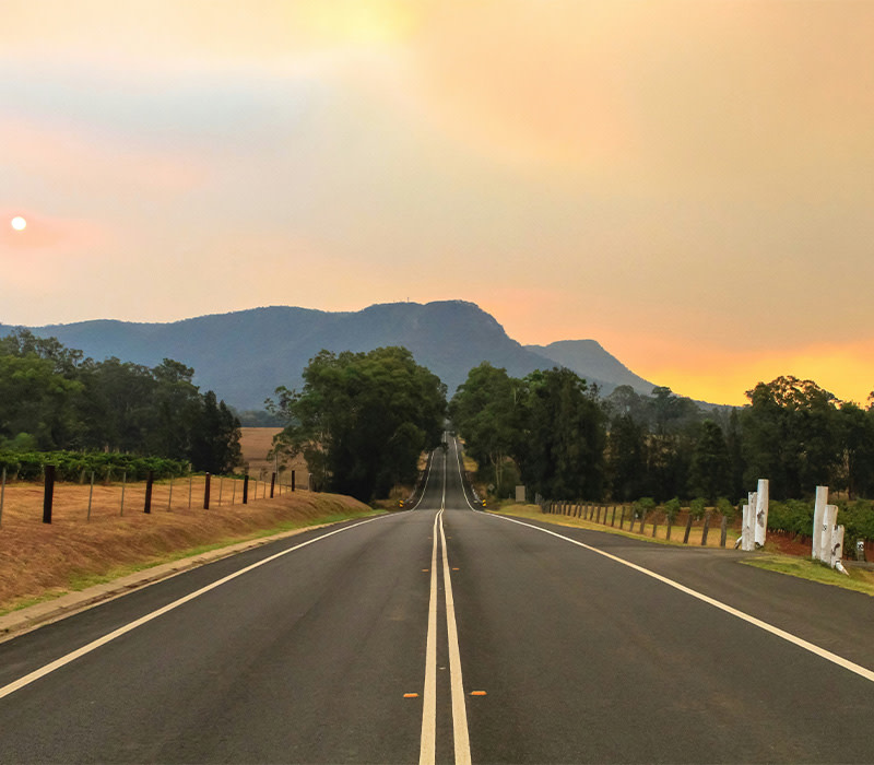 a long road through the hunter valley wine region in australia during sunrise