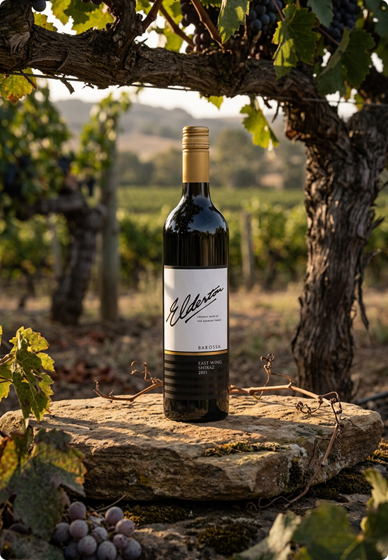 Vineyard Partners - Sampler Page - Column 4 - Image