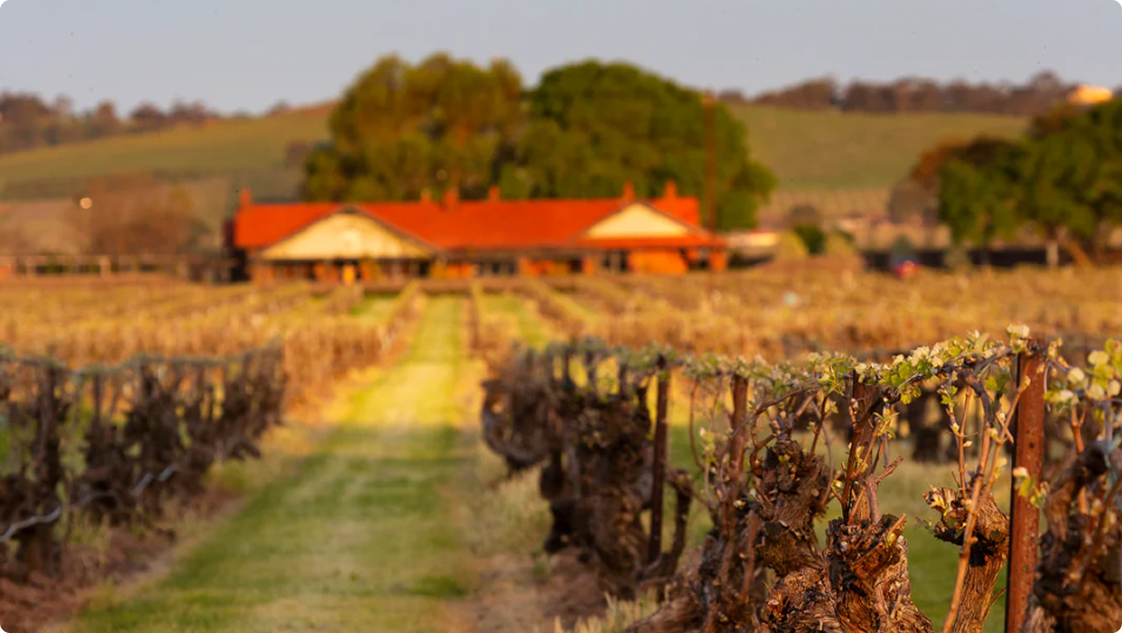 Vineyard Partners - Elderton - About Us section - Column Group - Image