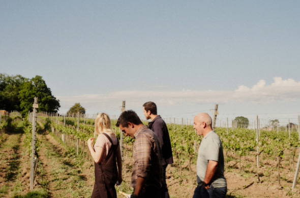 Get personalized recommendations from our Wine Advisors