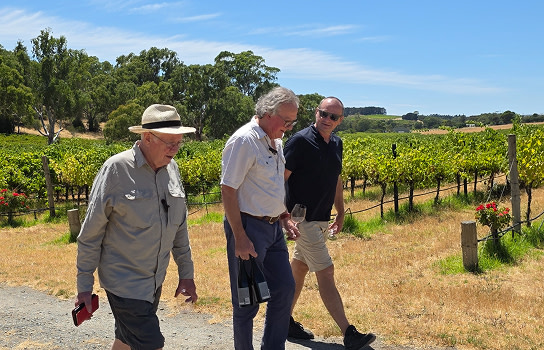 Wineries - Column - Image - Angove