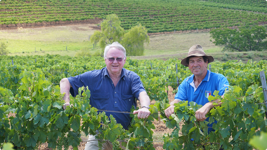Vineyard Partners - Lake Breeze - About us image