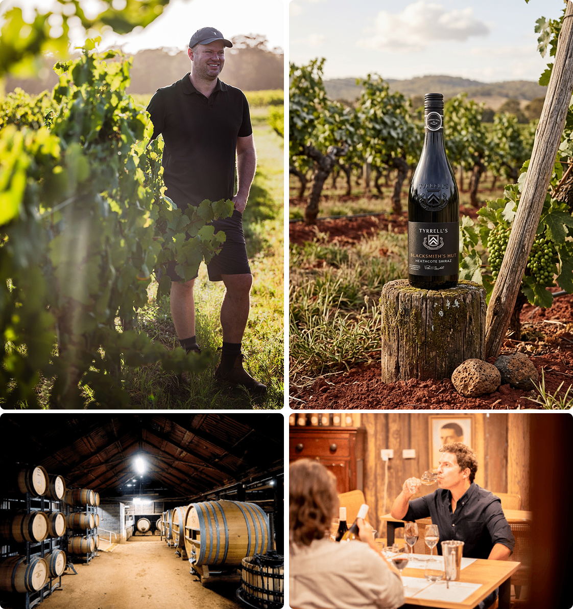 Vineyard Partners - tyrrells - Intro section grid image