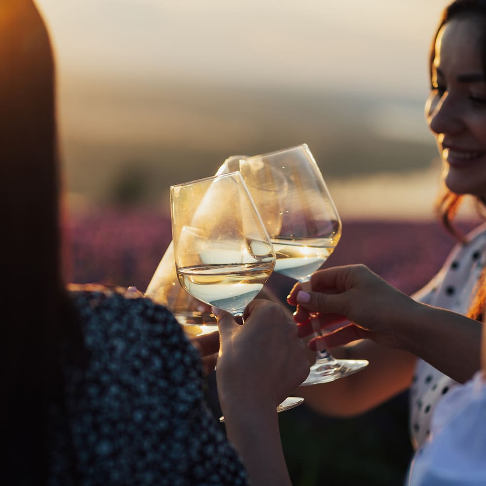 Friends cheersing glasses of white wine