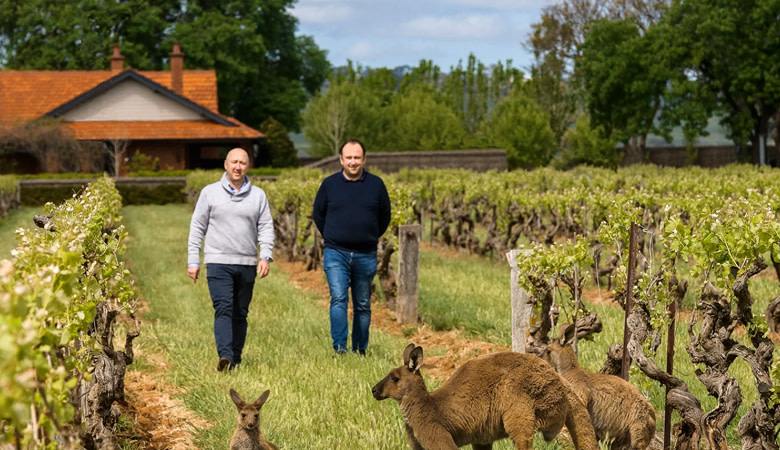 Vineyard Partners - Elderton Card image