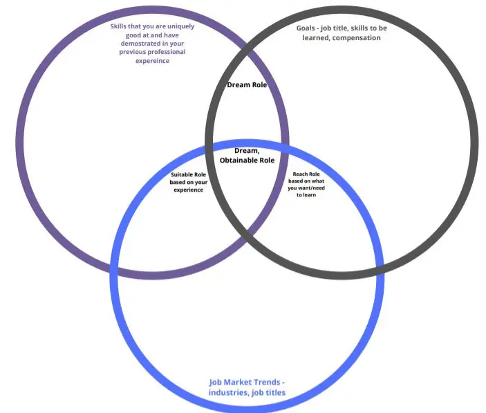 Skillset Venn Diagram