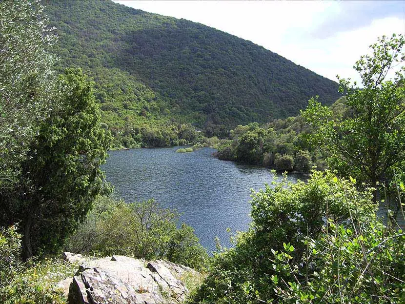 Oasi di monte arcosu, scorcio su un lago