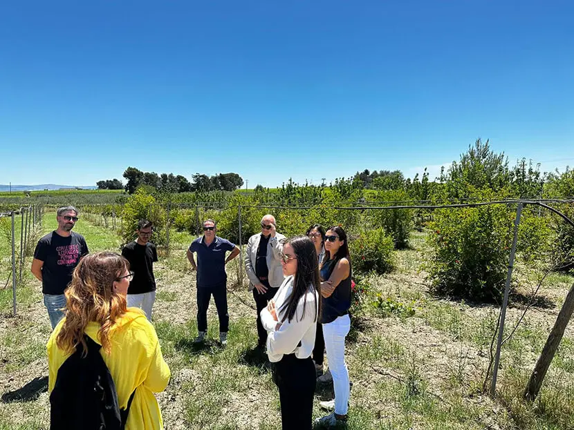 un gruppo di persone in cerchio all'interno del frutteto osservano il panorama