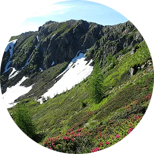 Un monte all’interno dell’Oasi Valtrigona di Trento.