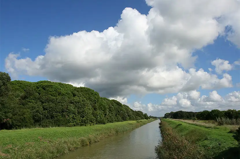Oasi del WWF di Macchiagrande