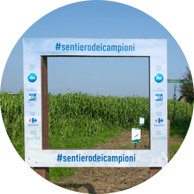 Un cartello all’interno del Sentiero dei Campioni di Villafranca di Verona