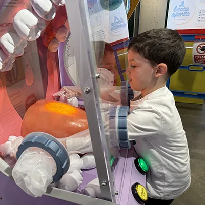 Un bambino di 6 anni infila le braccia dentro la teca in cui è presente la bocca andando a sistemare i denti oggetto dell’installazione. 