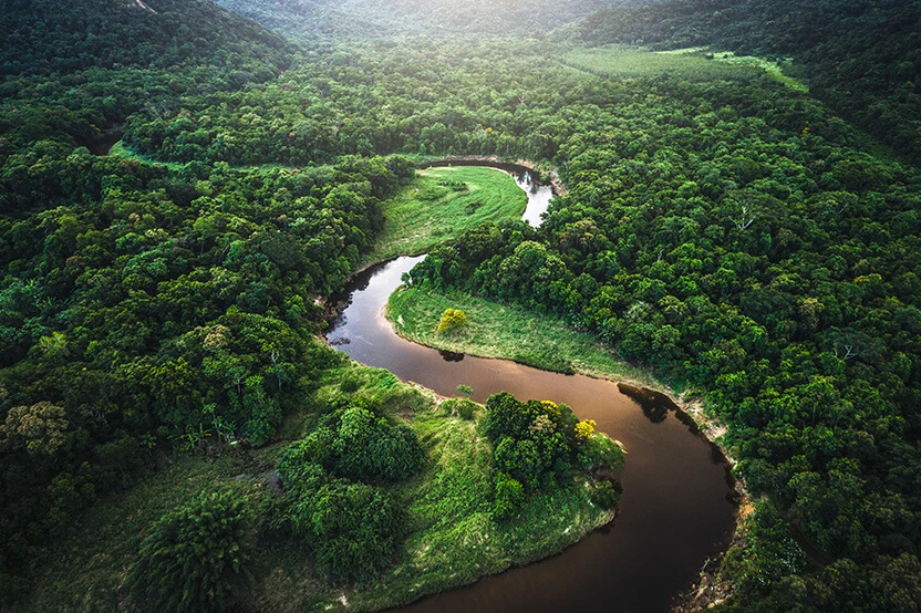Un fiume che attraversa una foresta.