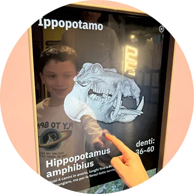 Un bambino di 7 anni davanti a un touch screen tocca lo schermo e scorre attraverso diverse immagini di come è strutturata la bocca di animali di speci differenti come il castoro o l’ippopotamo. 