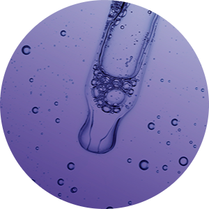 Scienza del benessere degli animali P&G